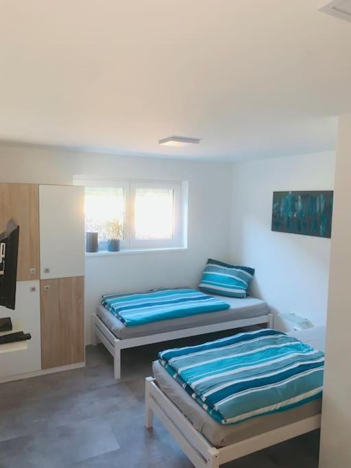 Moderne, Helle Ferienwohnung In Au Am Rhein Εξωτερικό φωτογραφία